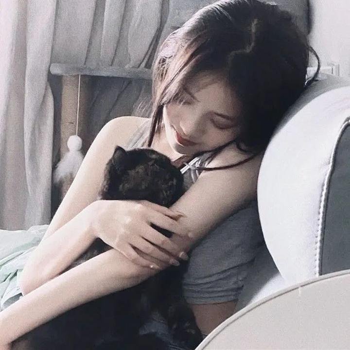 丛林奇航